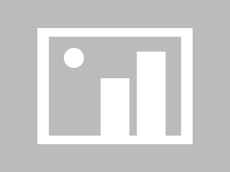 战队战术创新助力夺冠，创新战队名字